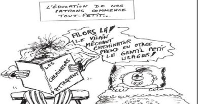 1995, Victoire, défaite, perspectives… 1995, Victoire, défaite, perspectives…
